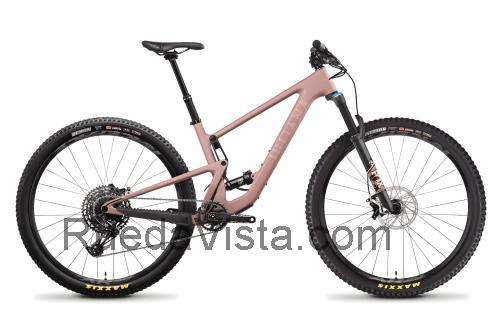 Juliana Joplin ficha técnica y opiniones